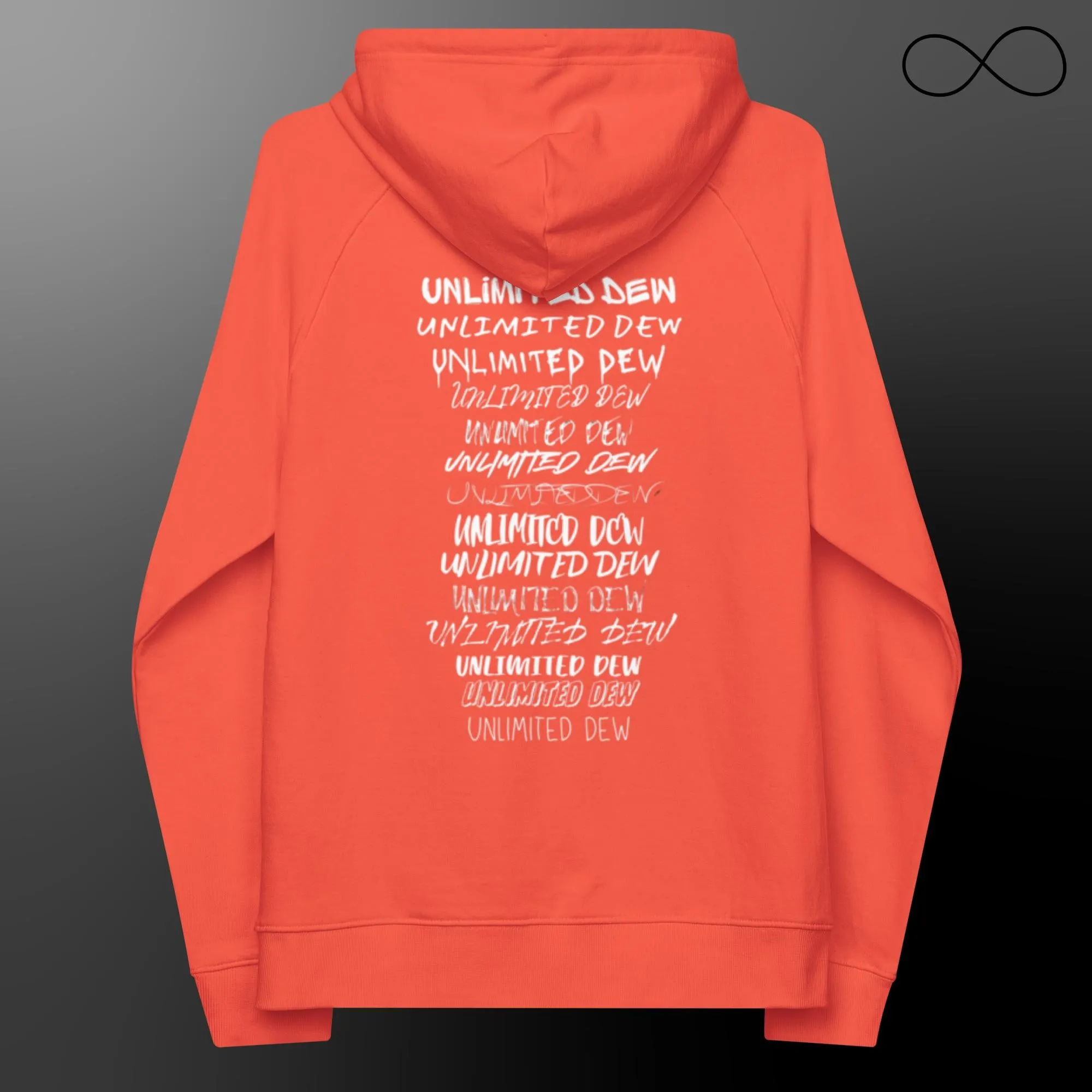 MULTIPLE FONTS (REG) Unisex Eco Raglan Hoodie