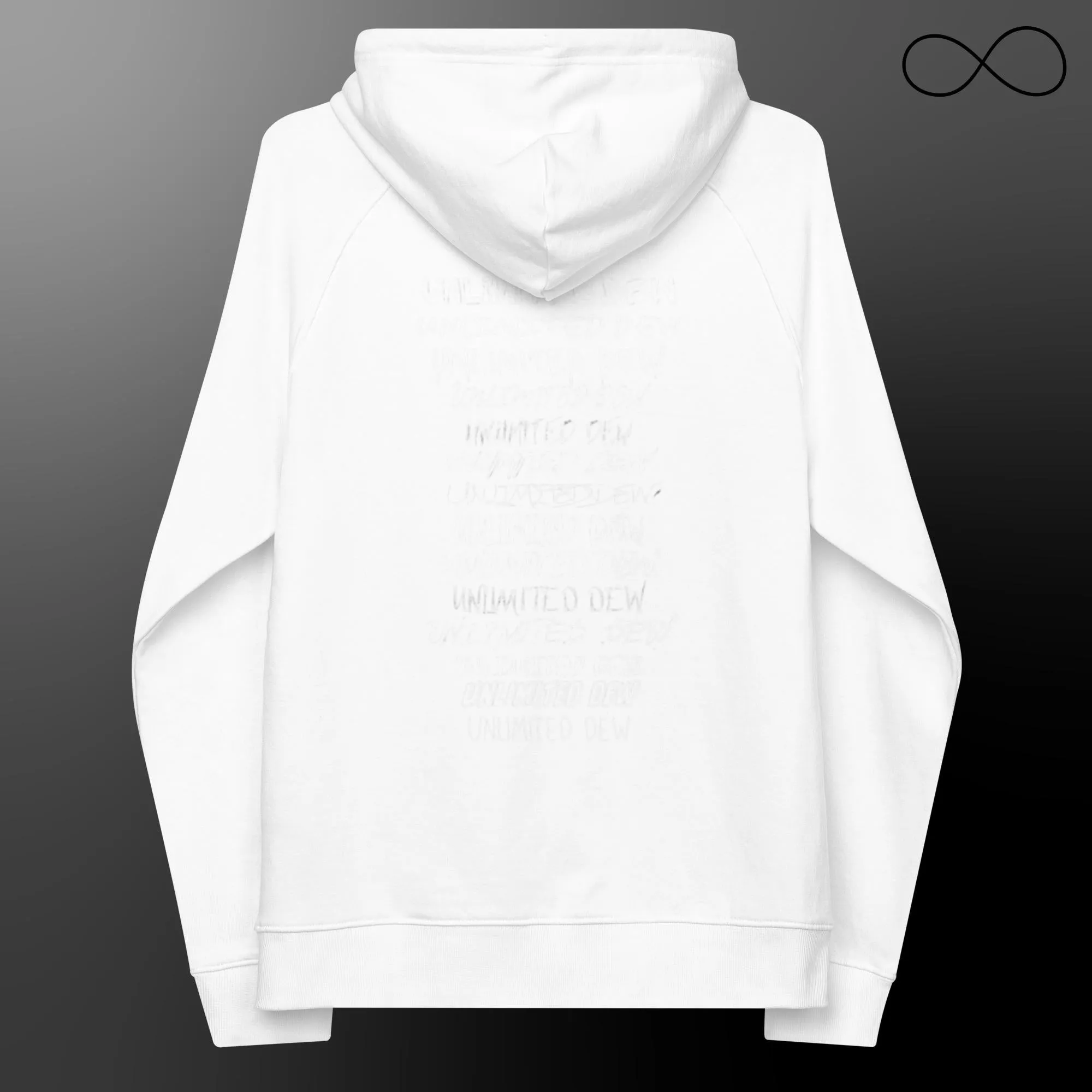 MULTIPLE FONTS (REG) Unisex Eco Raglan Hoodie