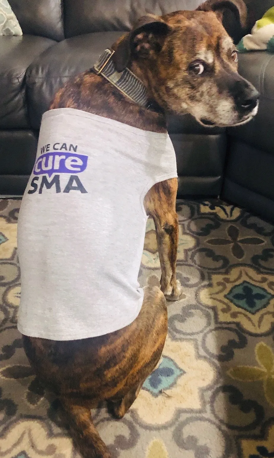 We Can Cure SMA Doggie Tank